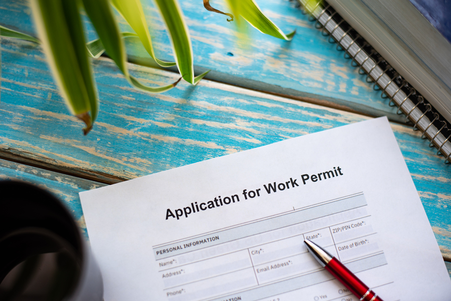 Applying for a Work Permit as an Asylum Applicant