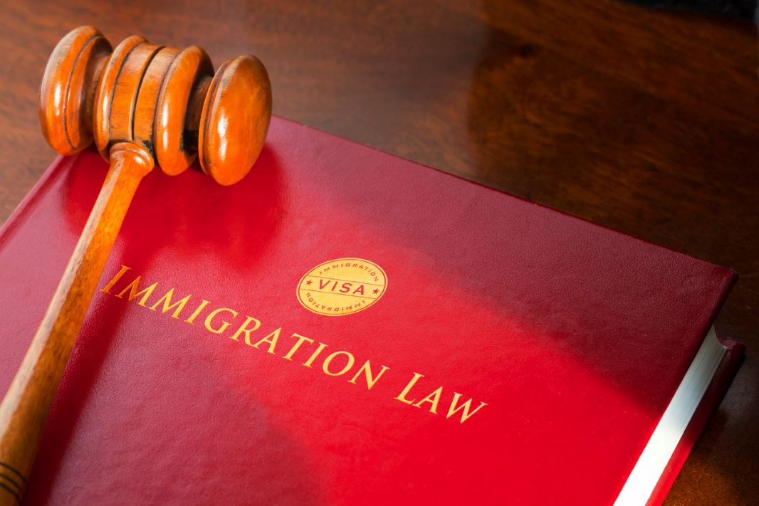 A red tome covering immigration law and a judge gavel on it stock photo